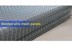 China 50x50mm aperture galvanized fence 4mm welded wire mesh panel supplier