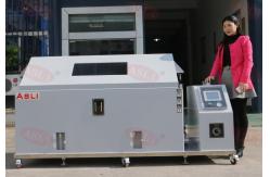 China Programmable Control Salt Fog Corrosion Test Chamber 640 Liters supplier