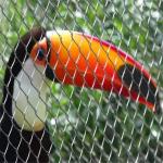 X Tend Stainless Steel Aviary Mesh , Stainless Steel Wire Mesh For Bird Cages for sale