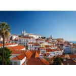Shenzhen Freight Forwarder China To Europe , Sea Shipping From China To Japan for sale