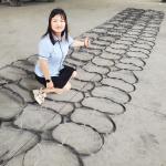 Versatile MZP Putanka Anti-Tank Barrier Fortification Net Woven Wire Cloth with Cutting Service for Defense for sale
