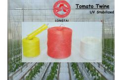 China 100% Polypropylene Fibrillated UV Treated PP Tomato Tying Twine 1 Strand Twisted supplier