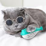 Interactive Cat Teeth Cleaning Toys Cat Toothbrush Toy For Aggressive Chewers