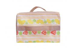 China 100% Eco Friendly Meal Prep Coolers supplier