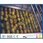 Mango Juice Factory Fruit Pulp Processing Plant , Mango Processing Equipment for sale