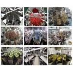 Multi Function Tomato Fruits Weighing And Packing Machine With Multihead