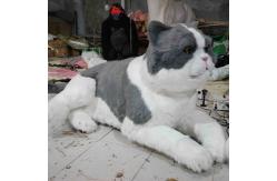 China Life Size Realistic Animatronic Cat ,  Interactive Talking Lovely Cat supplier
