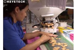 China Buttons Visual Inspection System With Machine Conveyor Device supplier