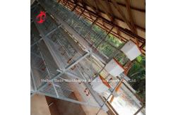 China 3 Or 4 Tier Chick Rearing Cage H Belt Manual Cleaning System 2x2x1.6meters Doris supplier
