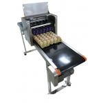 Poultry Egg Date Coding Machine Automatically Updated With LCD Touching Screen for sale