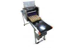 China Poultry Egg Date Coding Machine Automatically Updated With LCD Touching Screen supplier