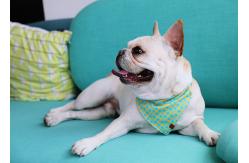 China 14x9.5cm Small Dog Bandana Collar Bibs Puppy Neckerchief Washable Triangle Plaid supplier