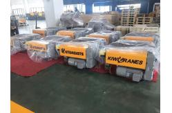 China 12.5T 9M Single Girder Wire Rope Hoist European Style Factory Use supplier