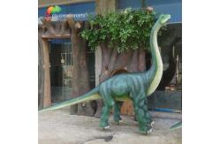 China Customization Large Outdoor Dinosaur Brachiosaurus Model For Museum supplier