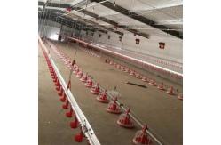 China 22ton 220V Auger Automatic Pan Feeding System Shed supplier