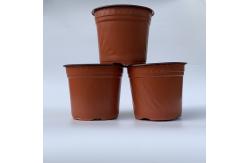 China Soft Thickened Edge PP 3 Gallon Plastic Flower Pots Bottom Drainage supplier