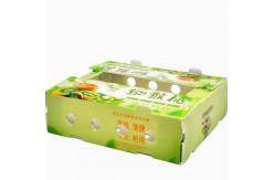 China PP Plastic	Fruit Packaging Boxes Hollow Plate Turnover Box Anti Static supplier