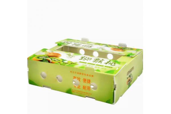PP Plastic Fruit Packaging Boxes Hollow Plate Turnover Box Anti Static