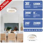 20 Bladeless Ceiling Fan