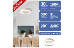 China 20 Bladeless Ceiling Fan supplier
