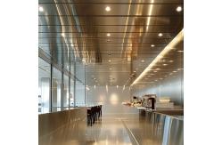 China Weather-Resistant Stainless Steel Cladding for Harsh Climates supplier