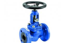 China Din Standard Pn16 Steam Globe Valve Cast Iron Bellow Seal supplier