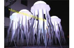 China jellyfish decorations , jellyfish , jellyfish light , jellyfish decorations , inflatable jellyfish supplier