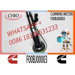 Common Rail Fuel Injector 288-2078 2882078 F00BJ00002 F00BJ00003 for Cummins QSK19 QSK60 Engine for sale