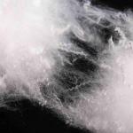 Low Melt Point 4D Polyester Staple Fiber With Extraordinary Matrix Stability