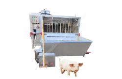 China pig processing equipment slaughter equipment pig pig hair removal machine supplier
