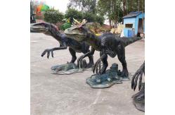 China Realistic Animatronic Dinosaurs Animatronic Velociraptor Jurassic World Exhibition supplier