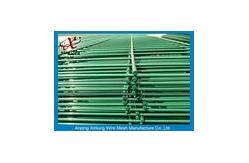 China Trellis Gate Double Wire Mesh Fence / 200*50mm Welded Wre Mesh Panels supplier