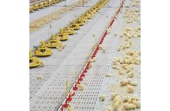 China Linear Feeder Poultry Automatic Pan Feeding System supplier