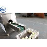 SUS304 Onion Processing Equipment Onion Skin Peeling Machine High Efficiency for sale