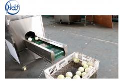 China 1.5kw Power Onion Peeling Machine , Onion Processing Machine With Cutter supplier