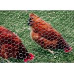 20 Gauge Galvanized Poultry Netting 1 inch Hexagonal Chicken Wire 4ft X 50ft
