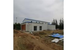 China H Frame Cage Design Automatic Broiler Feeding System for Advanced Farms supplier
