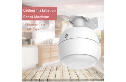 China HOMEFISH WIFI 4G Control Home Scent Diffuser Machine DC 12V supplier