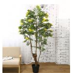 Garden Landscape Artificial Potted Floor Plants Cassia Flowering Tree for sale
