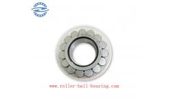 China Rsl182207 Single Row Full Complement Cylindrical Roller Bearing 35X63.97X23mm supplier