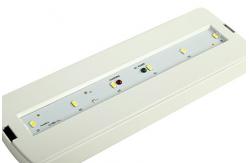 China Led Automatic Emergency Light For Buildings supplier