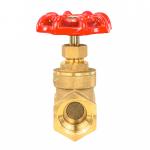 BSPT Thread Brass Gate Valve With Manual Handle Knife Valve