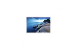 China HSD103BPW6-A00-N00 10.3 inch 720*1920 lcd screen panel display supplier