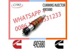 China Diesel Fuel Injectors 2872544 2031835 2030519 4905880 For Cummins supplier