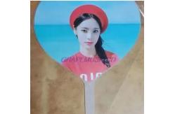China Custom KPop Event Fan For Gift Custom plastic PET Transparent 3D Fan supplier