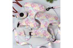 China Comfortable Yellow Leash Collar Harness Set Neoprene Puppy Collar And Lead Set supplier