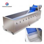 Tengsheng Multifunctional Bubble Cleaning Machine Scum Removal Vegetable Fruit ginger for sale