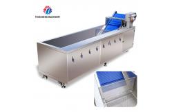 China Tengsheng Multifunctional Bubble Cleaning Machine Scum Removal Vegetable Fruit ginger supplier