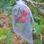 Transparent And Flexible Plastic Insect Netting Bags In Home Supermarket