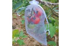 China Transparent And Flexible Plastic Insect Netting Bags In Home Supermarket supplier
